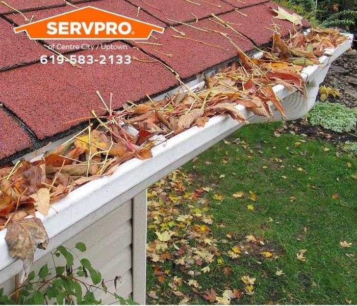 A rain gutter system is clogged with leaves.