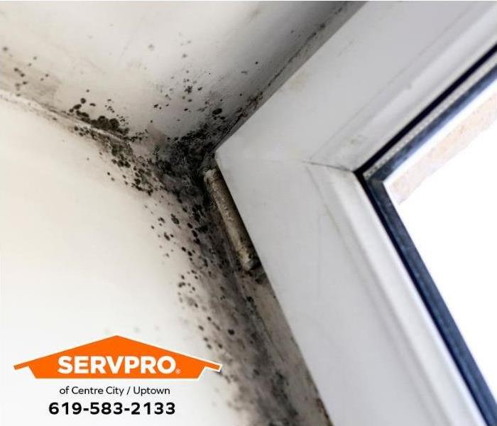 Mold grows around a leaking door frame. 
