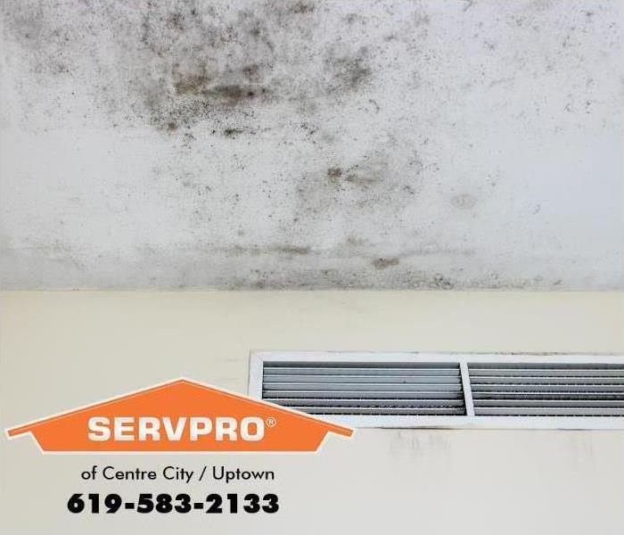 Mold on drywall above air vent