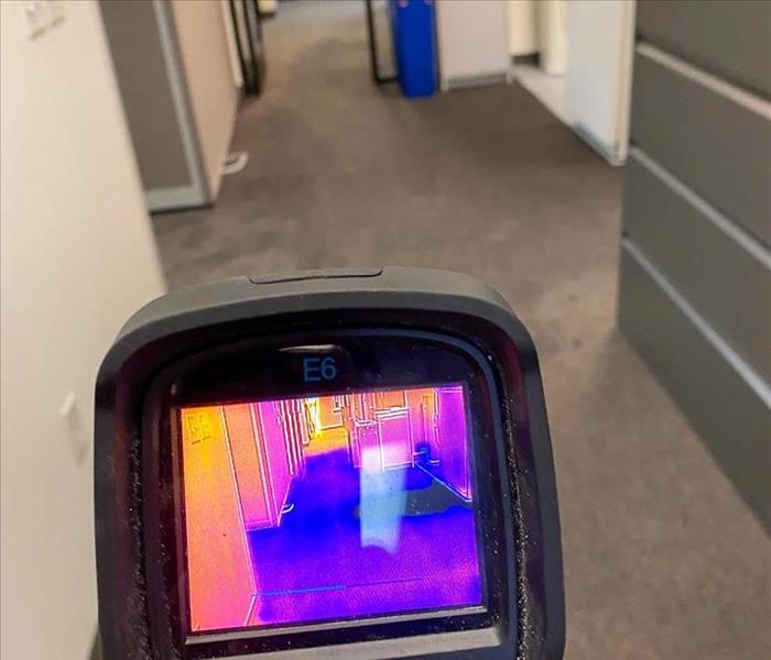 SERVPRO technician checking for mold in a San Diego office